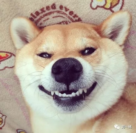 2.webp.jpg
