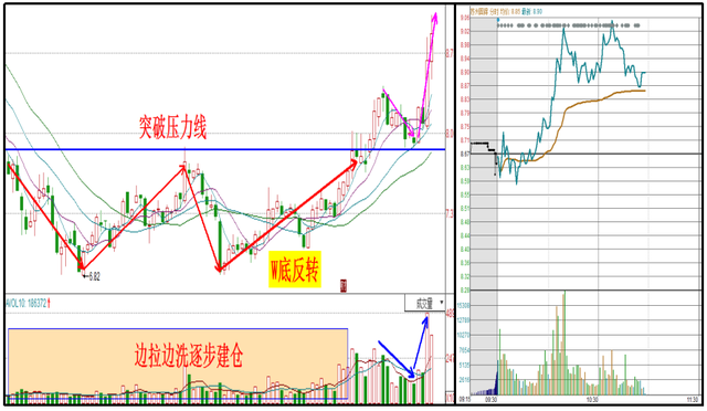 紫光国芯又一中国芯片诞生，神秘机构重仓买入，或将赶超士兰微