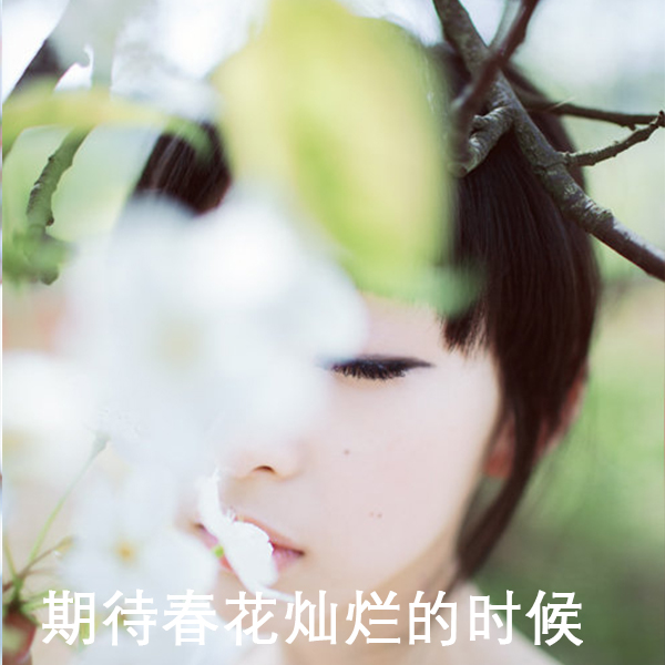 期待.jpg