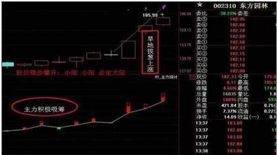 一超级牛散醉后自曝神级跟庄技巧，散户复利的机会来了（收藏）！