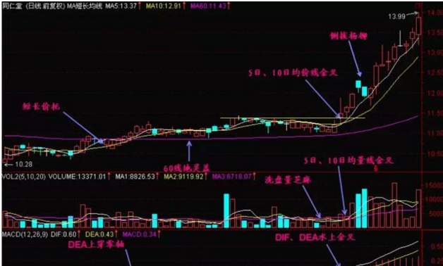 一位操盘奇才的经验之谈:MACD技巧学到就是赚到！