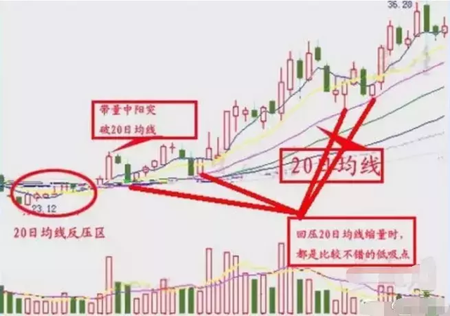 如遇这类股大胆抄底，复利将不再是梦，散户速收藏！