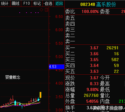 会是下个新龙头吗——603706东方环宇