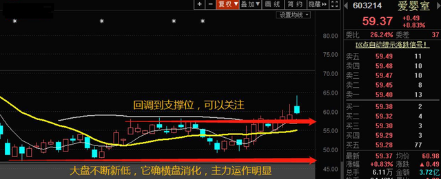 二胎概念股风起云涌，这些股票有业绩支撑，股民可以关注（附股）