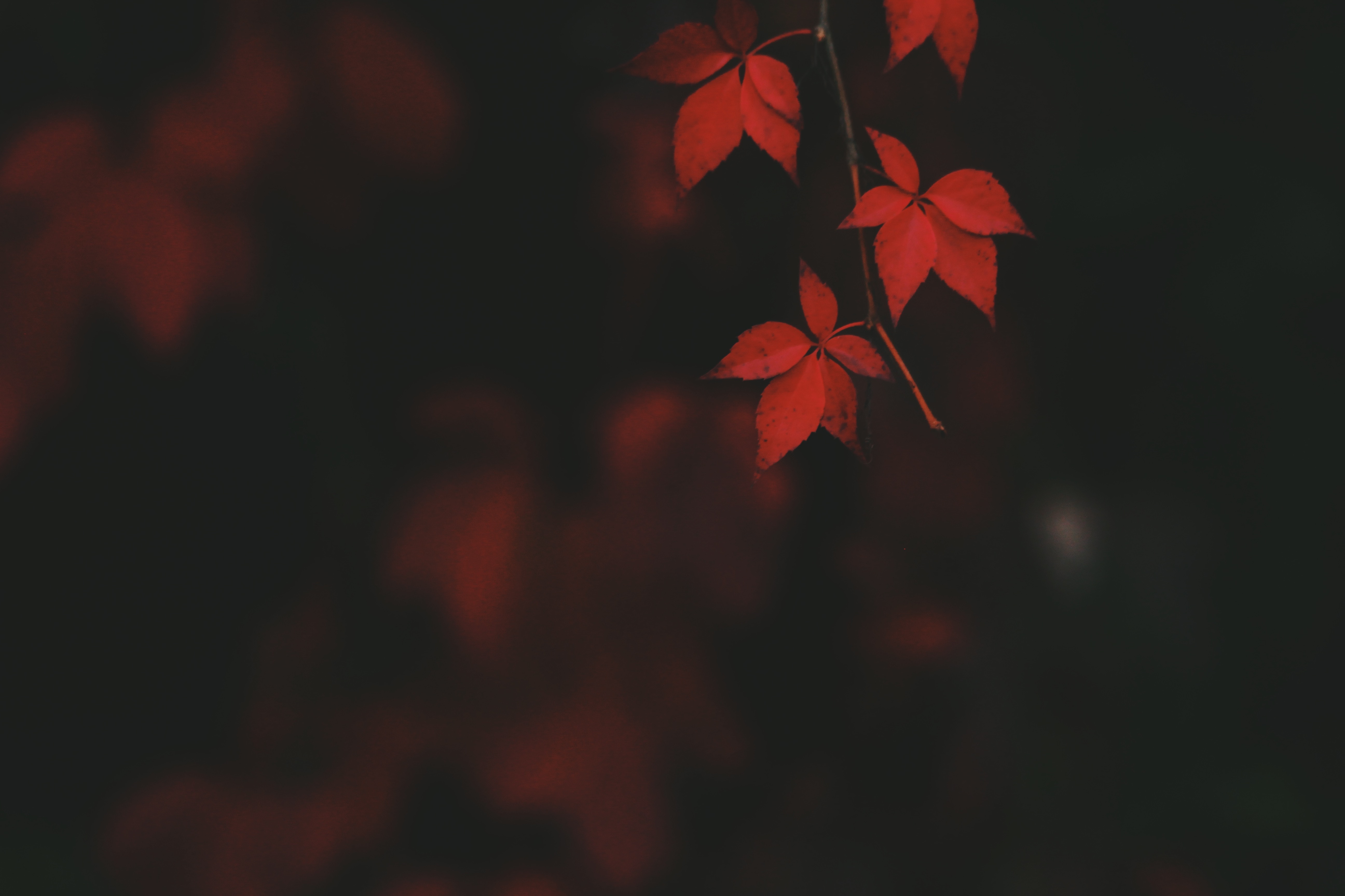 unsplash-Noah Silliman.jpg