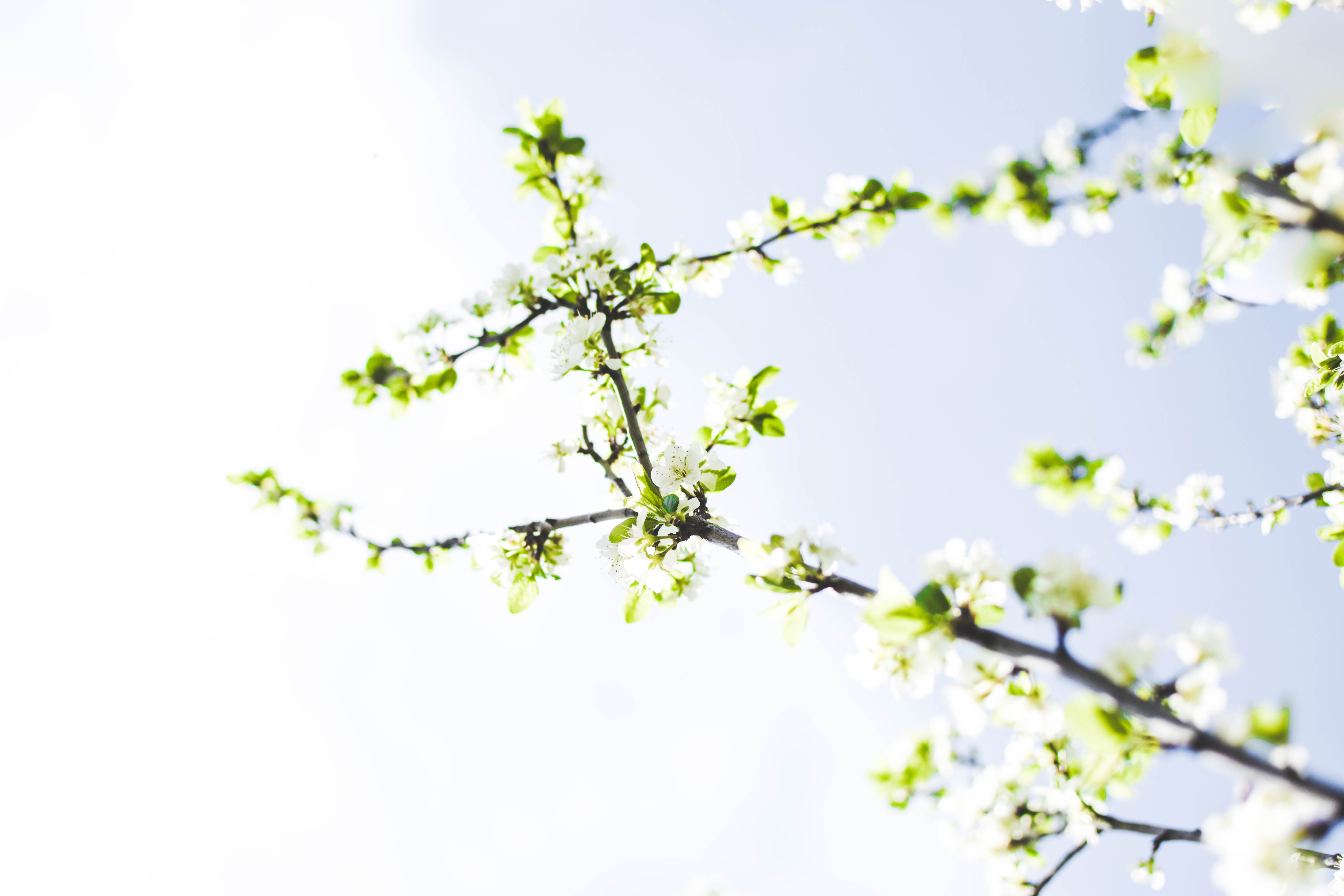 unsplash-Artiom Vallat.jpg