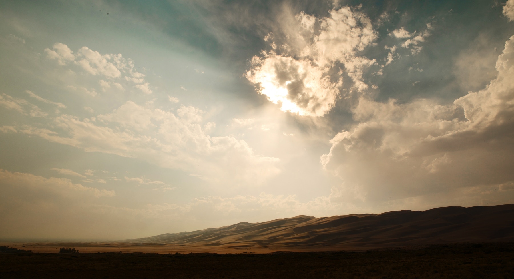 unsplash-Todd Quackenbush.jpg
