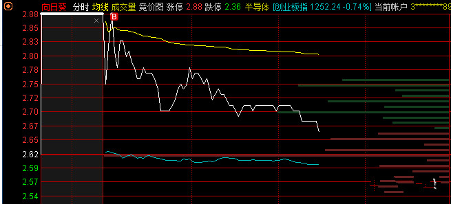 114向日葵_meitu_2.jpg