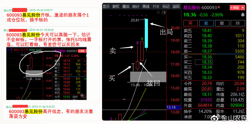 600093易见股份