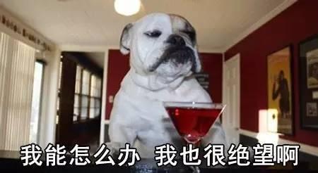 图片20191111111827.jpg