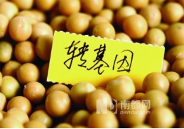 农业种业转基因.png