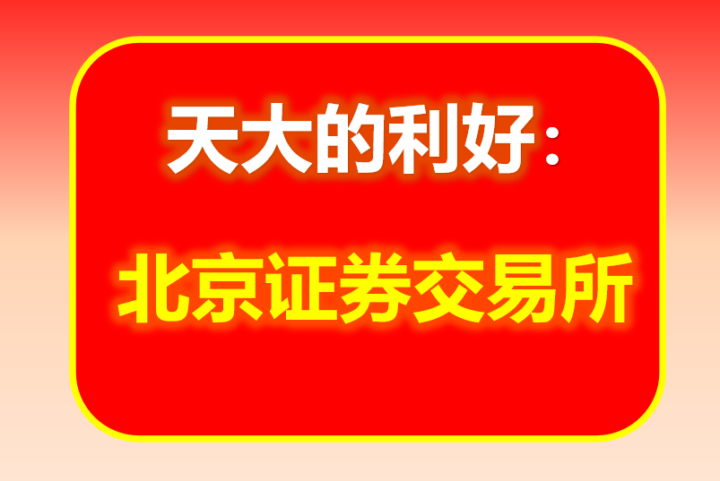 北京证券交易所.png