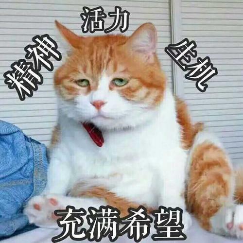 _%2F%2Finews.gtimg.jpg