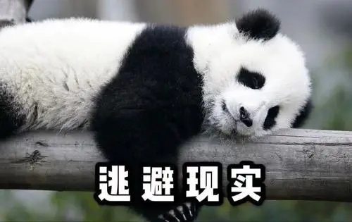 截图_20210927203836.png