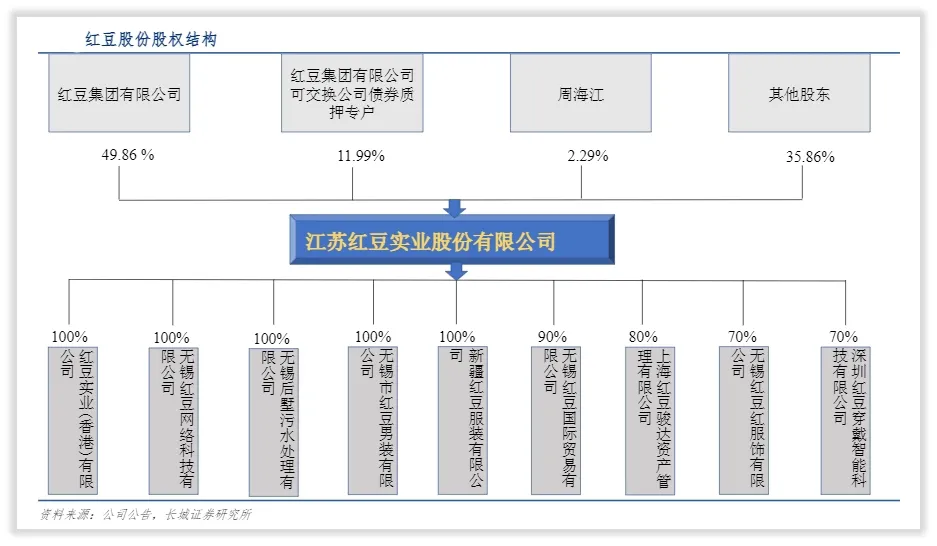 红豆股份是一家什么样的公司？