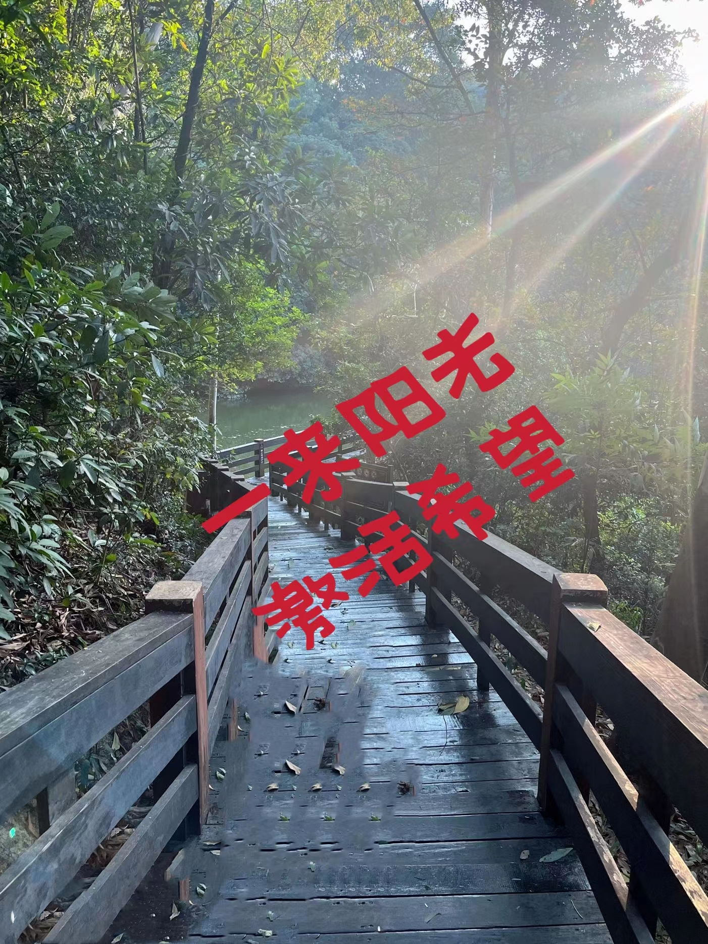 一米阳光.jpg