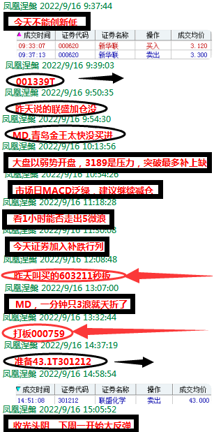 截图20220918182618.png