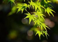 你能不能不参加A股高考——不能