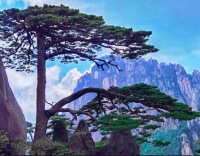 加长版黄金周将至，旅游业或迎爆发期