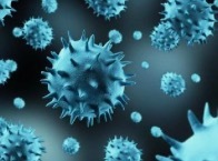多种病原体共同流行，流感发病人数快速上升