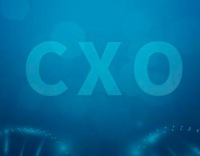 曾经的医药明珠，市值一天蒸发近1000亿，CXO究竟怎么了？