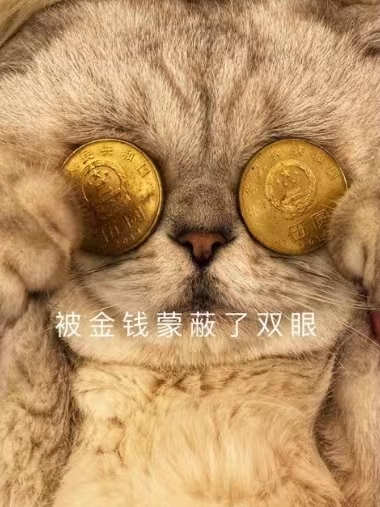 金钱猫.jpg