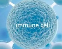 细胞免疫治疗，谁是盈利最强企业？