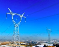 国网信通(600131) 电力体制改革推动数字化业务发展