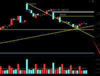 展锋：缩量反弹，3401.93能突破吗？