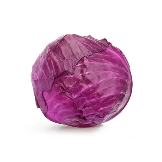 500fd9f9d72a6059252d14f35f6d239b033b5ab50c9a.webp.png