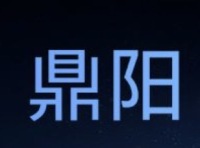 鼎阳科技(688112) 高端化战略持续推进，2025年Q1盈利能力提升