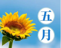 浅谈5月---？的走向浅析
