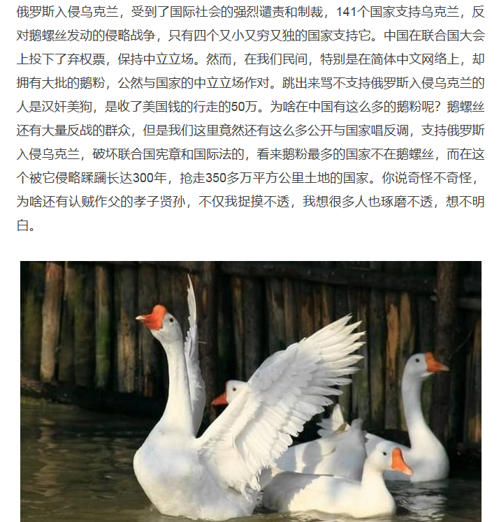 Image 002.png