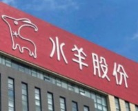 水羊股份----高端体验式新消费经济第一股