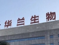 华兰生物，全国第一，300亿医药龙头，成功逆袭！