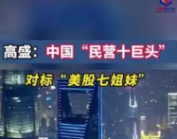 对标美股七姐妹的民营十巨头，还有很大上涨空间