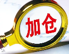 说几只可能会加仓的股票