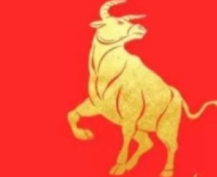 牛市到来，不要乱动