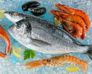 水產(chǎn)題材股梳理